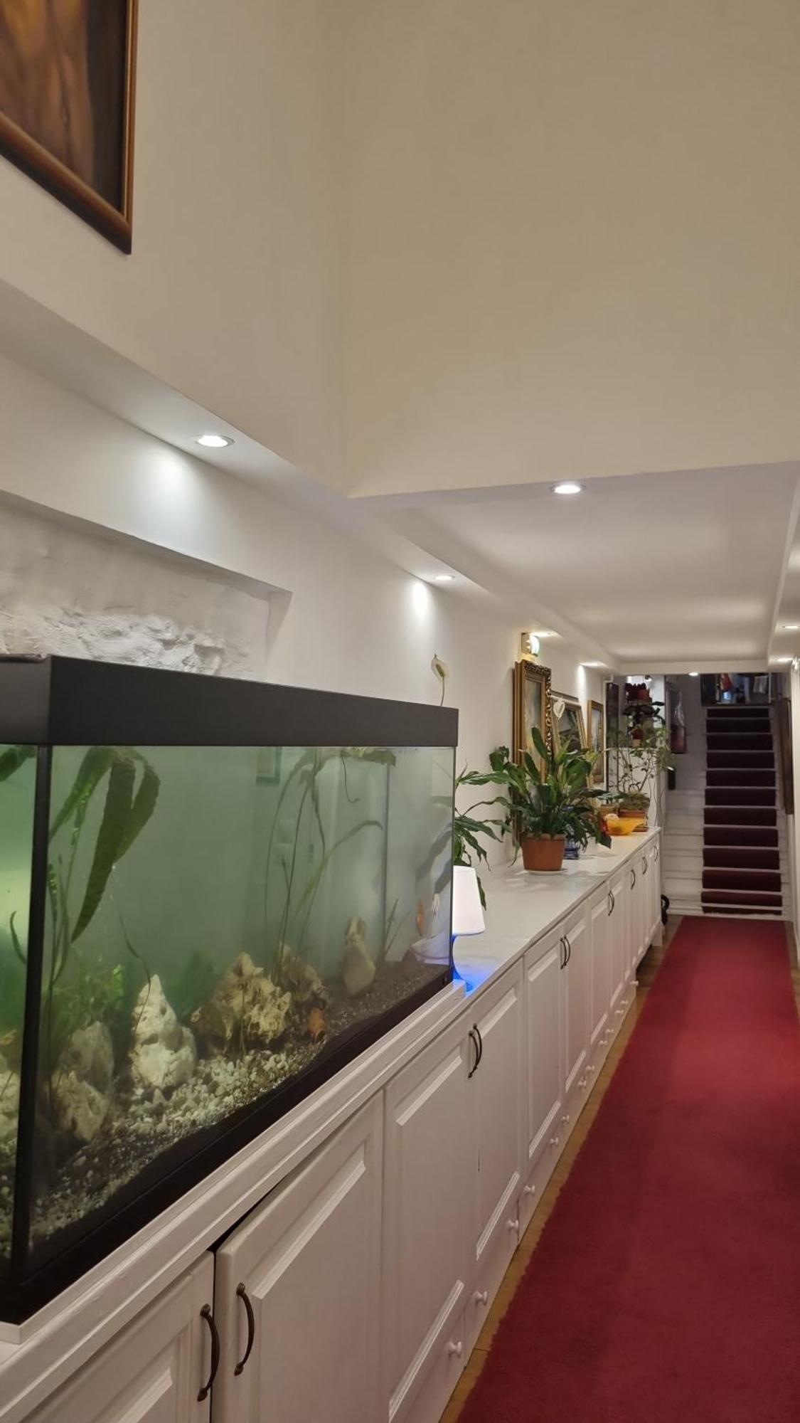 Connection Guesthouse Budapest Eksteriør bilde