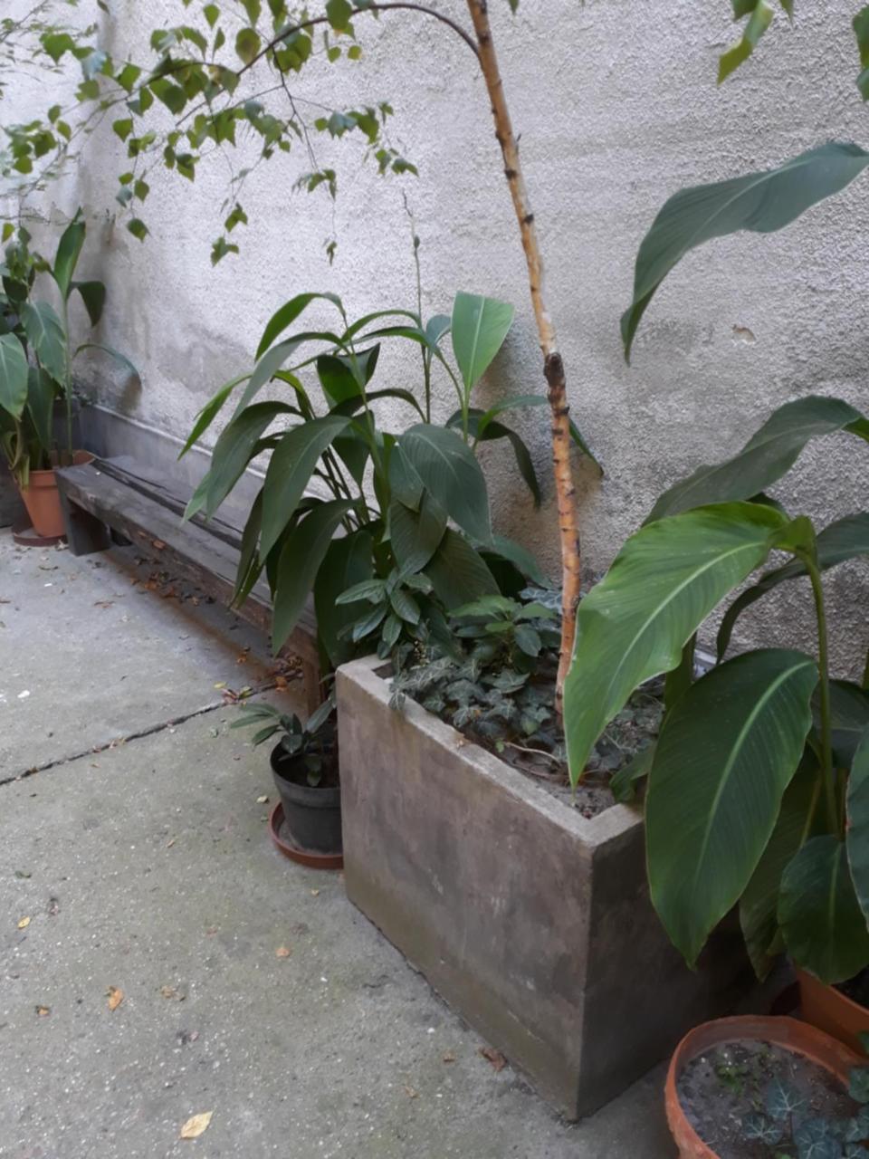 Connection Guesthouse Budapest Eksteriør bilde