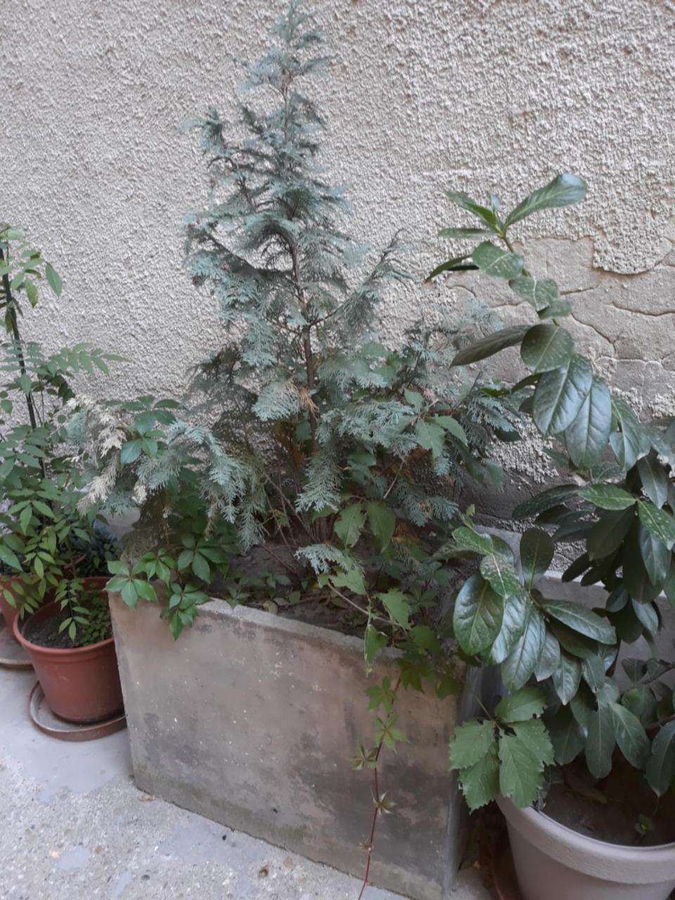 Connection Guesthouse Budapest Eksteriør bilde